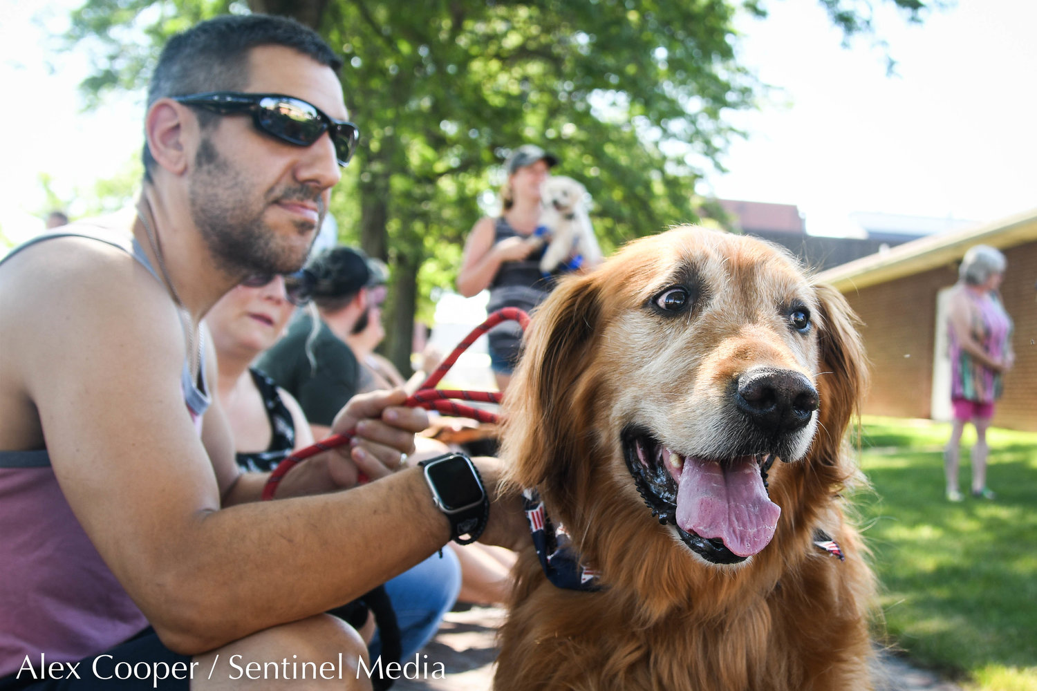 Buddy, a golden retreiver, sits patiently with his owner Ryan during a dog show hosted by the Herkimer County Humane Society on Saturday at Central Plaza in Ilion. The show was part of a long list of events hosted during Ilion Days 2022 from July 16-24.
