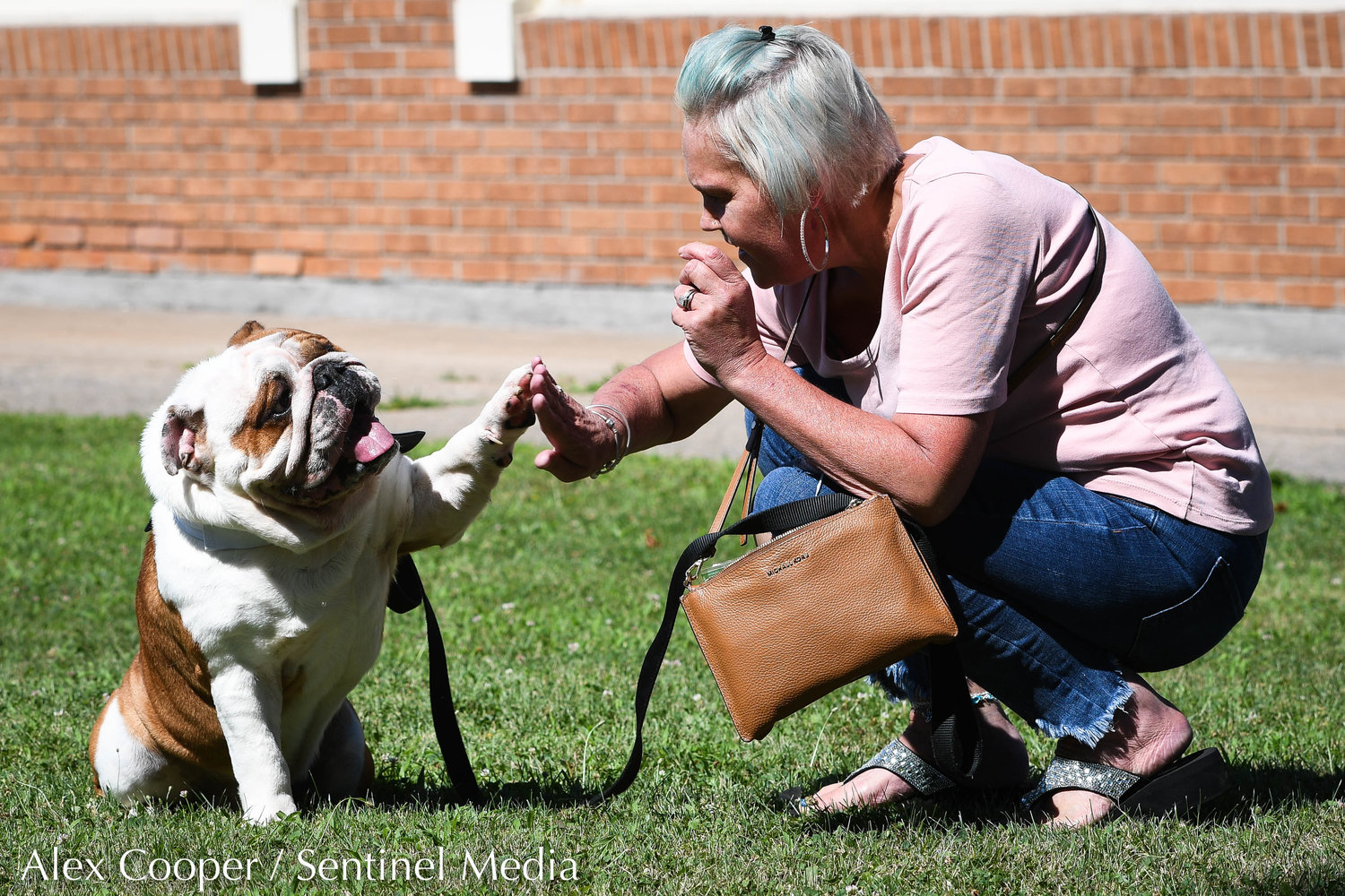 Caesar, an English bulldog, gives his owner Jackie Jackson a high-five while participating in the talent category of a dog show hosted by the Herkimer County Humane Society on Saturday at Central Plaza in Ilion. The show was part of a long list of events hosted during Ilion Days 2022 from July 16-24.