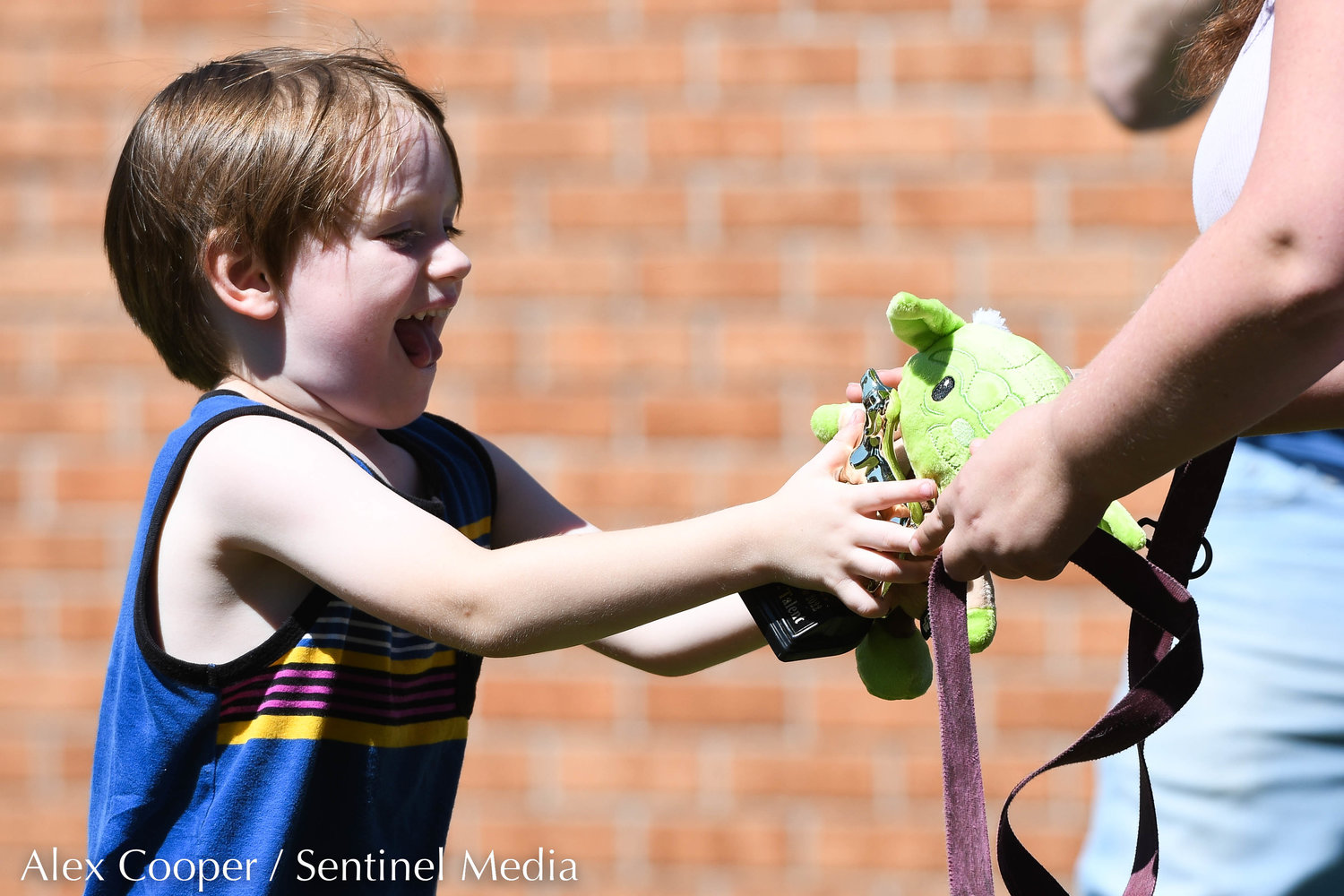 Dog toys and trophies were handed out to winners during a dog show hosted by the Herkimer County Humane Society on Saturday at Central Plaza in Ilion. The show was part of a long list of events hosted during Ilion Days 2022 from July 16-24.