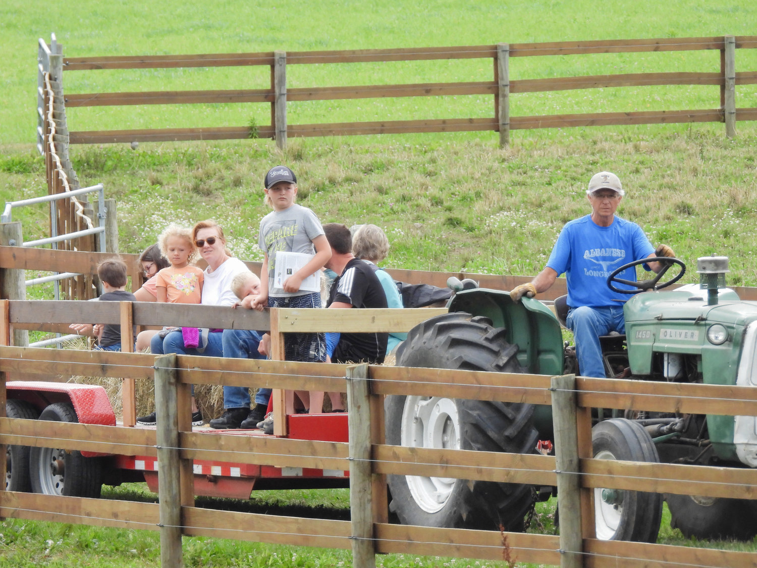 Open Farm Day on Saturday, July 30 saw people from all over visiting their local farms and seeing firsthand what they offer to the community. Albanese Longhorns in Cazenovia saw people from all over getting a look at a kind of cattle that's not normally seen in New York.