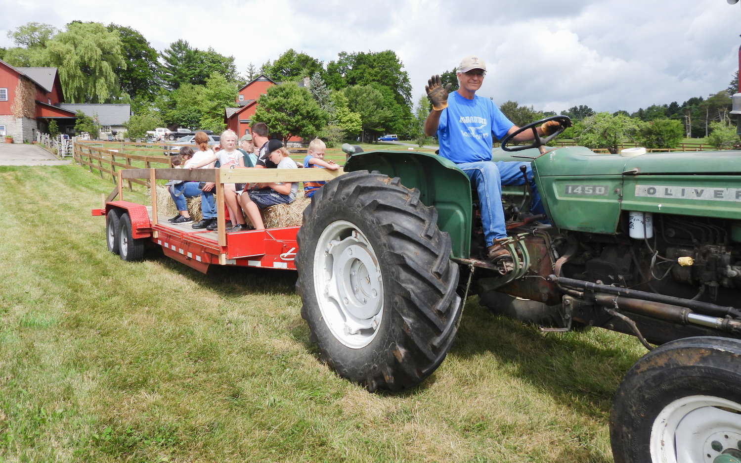 Michael Albanese, co-owner of Albanese Longhorns in Cazenovia, gives people a tractor ride around the farm. Open Farm Day on Saturday, July 30 saw people from all over visiting their local farms and seeing firsthand what they offer to the community.