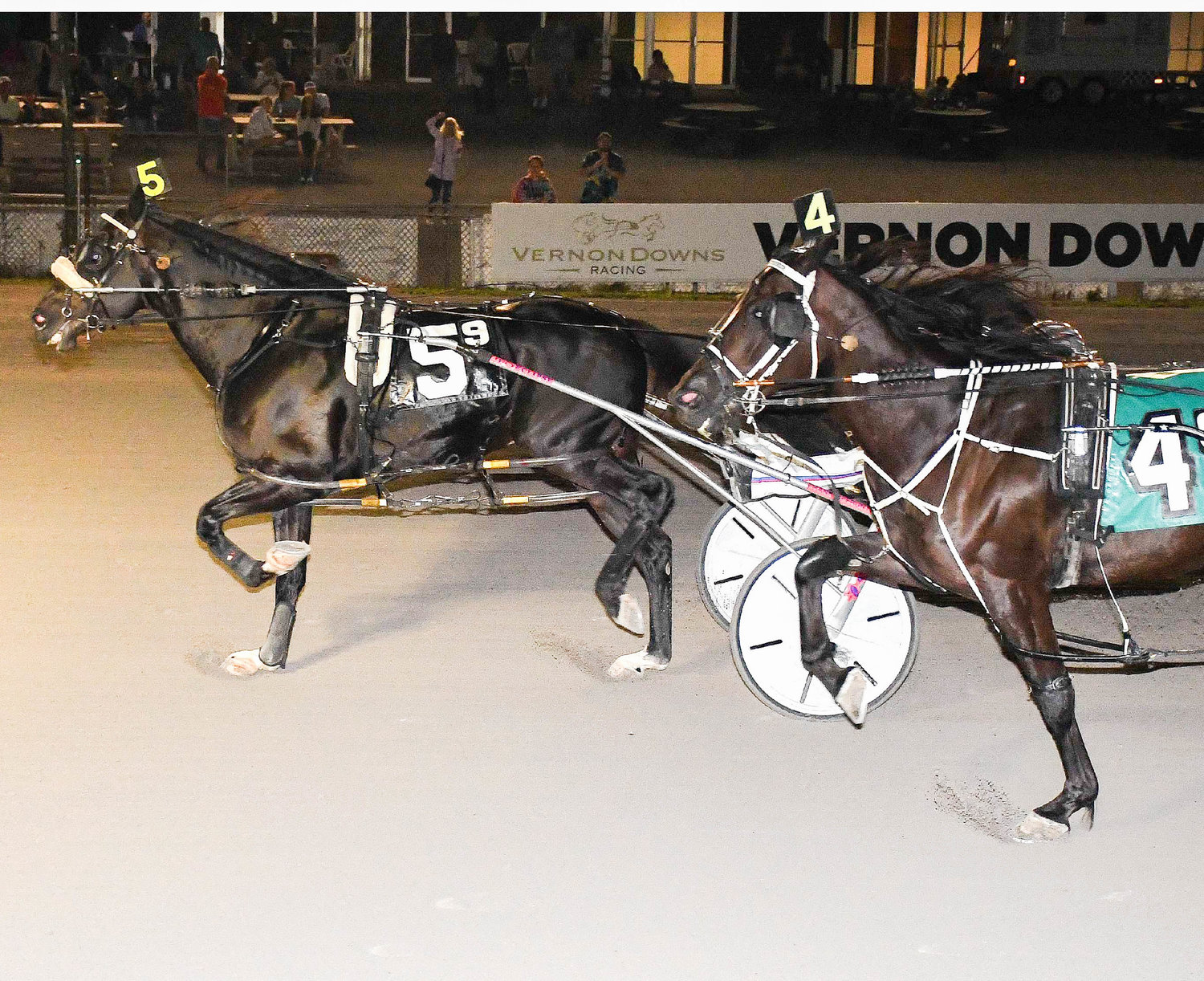 Natameri driven by Frank Affrunti captured the $8,800 Open Pace at Vernon Downs on Saturday night.