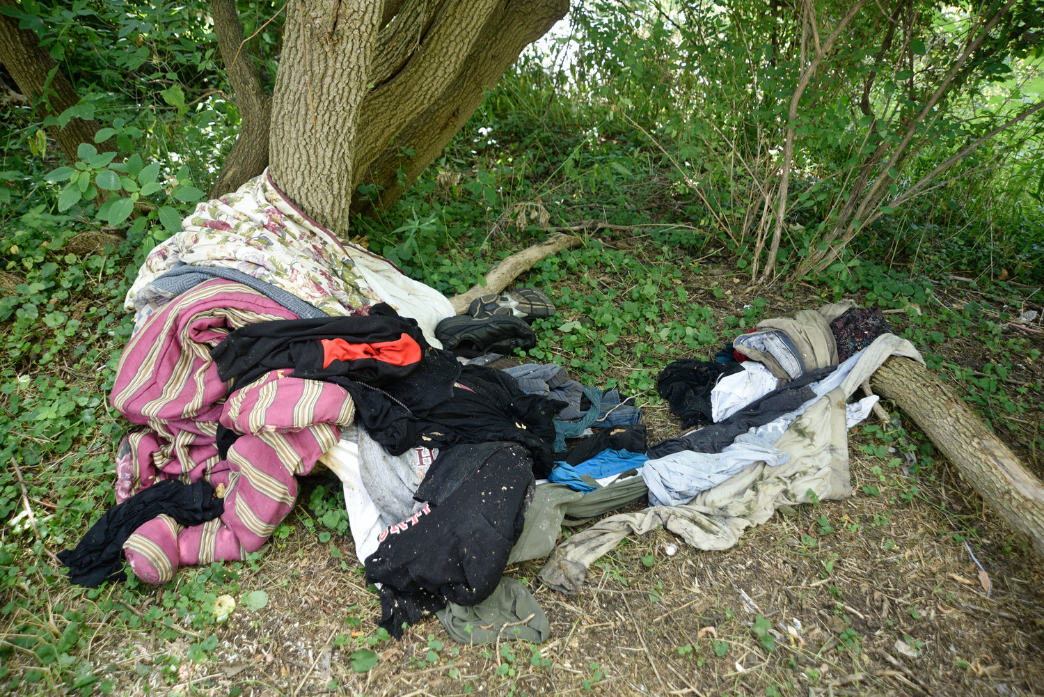 Blankets and clothing wrap around a tree, a few yards away from a fire pit in the wooded northeast corner of the Riverside Plaza property in Cortland.