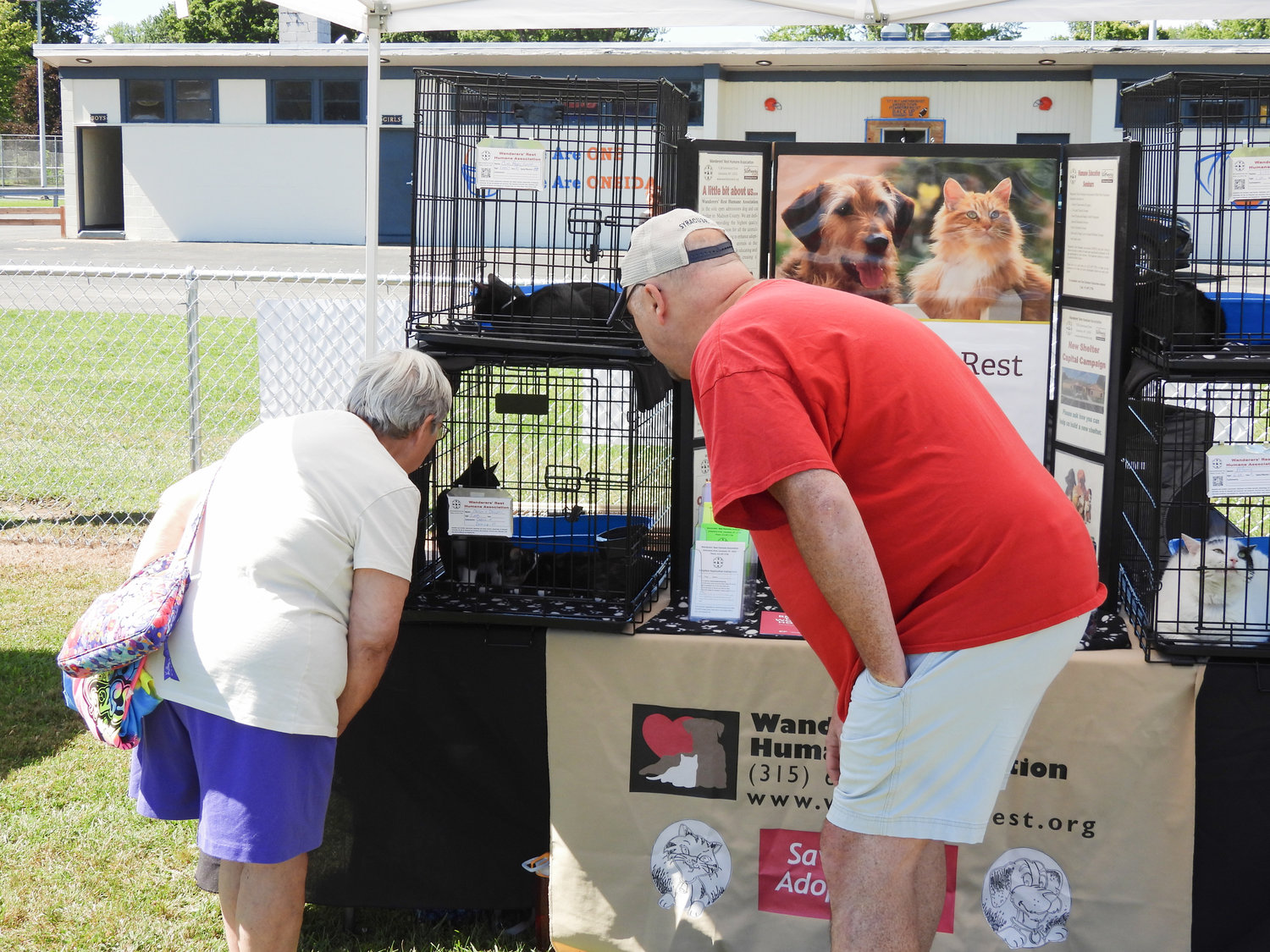 A couple of attendees look at some of the cats up for adoption at Wanderers' Rest's 2022 Woofstock fundraiser on Saturday, Aug. 13.