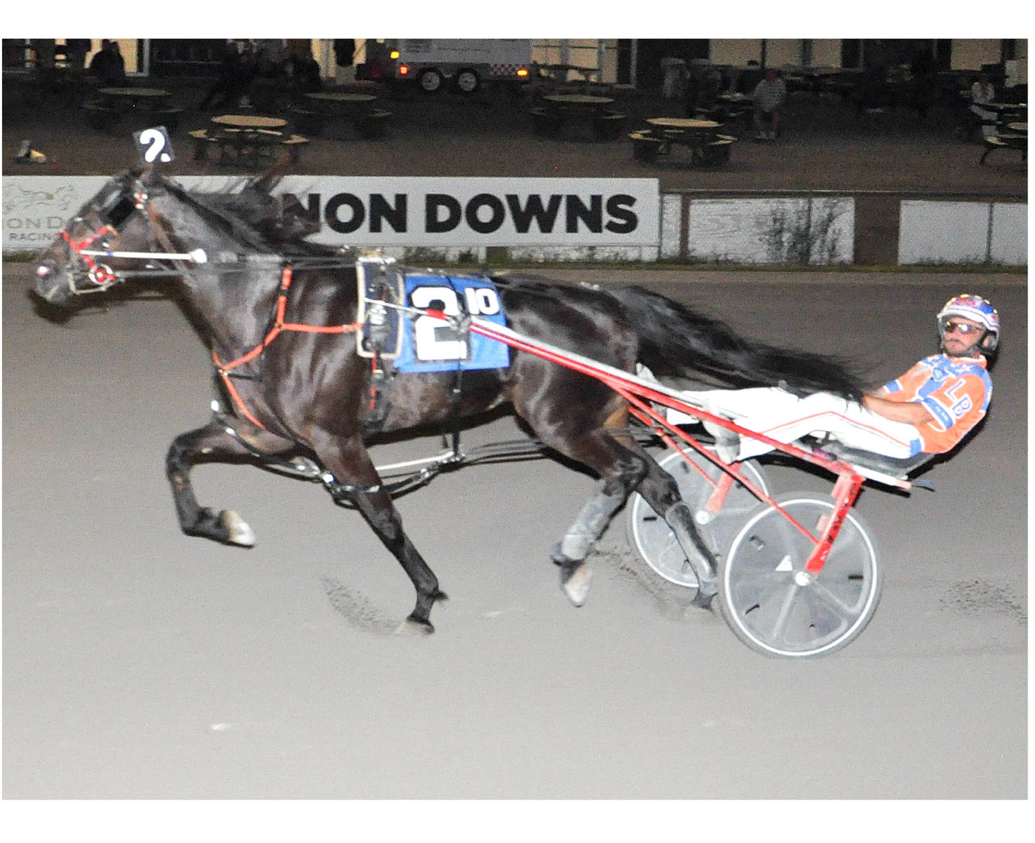 Discus Hanover and driver Leon Bailey won the $9,200 Open Trot at Vernon Downs Saturday. The horse won its third race of the season in a time of 1:55.4.