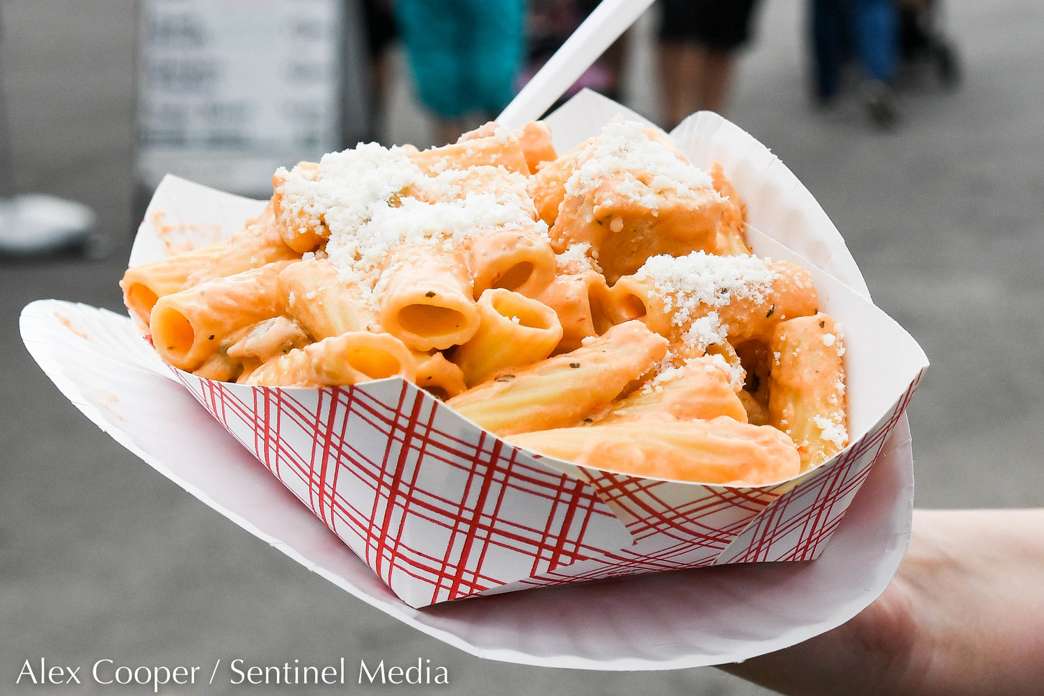 A woman orders chicken riggies at the Herkimer County Fair in Frankfort on Thursday.