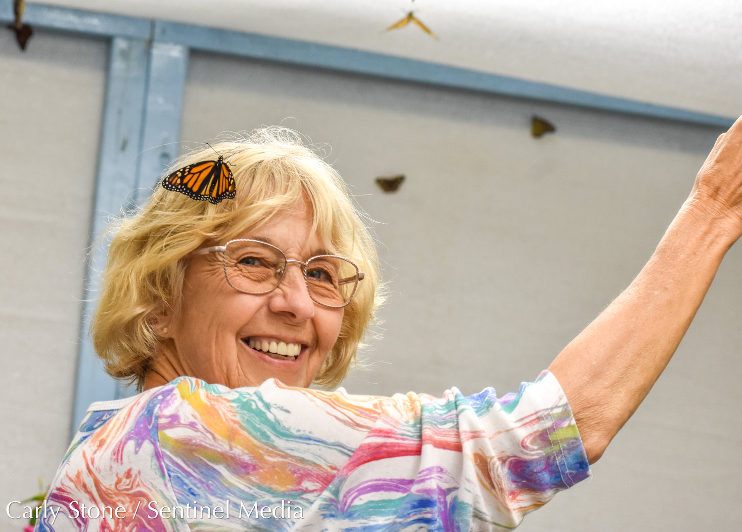 Rae Zollo, a Syracuse native visiting from out of state, wears a butterfly as if it were a hair accessory. This butterfly and many others interacted with guests inside the butterfly exhibit in the Horticulture Building at the 2022 New York State Fair.