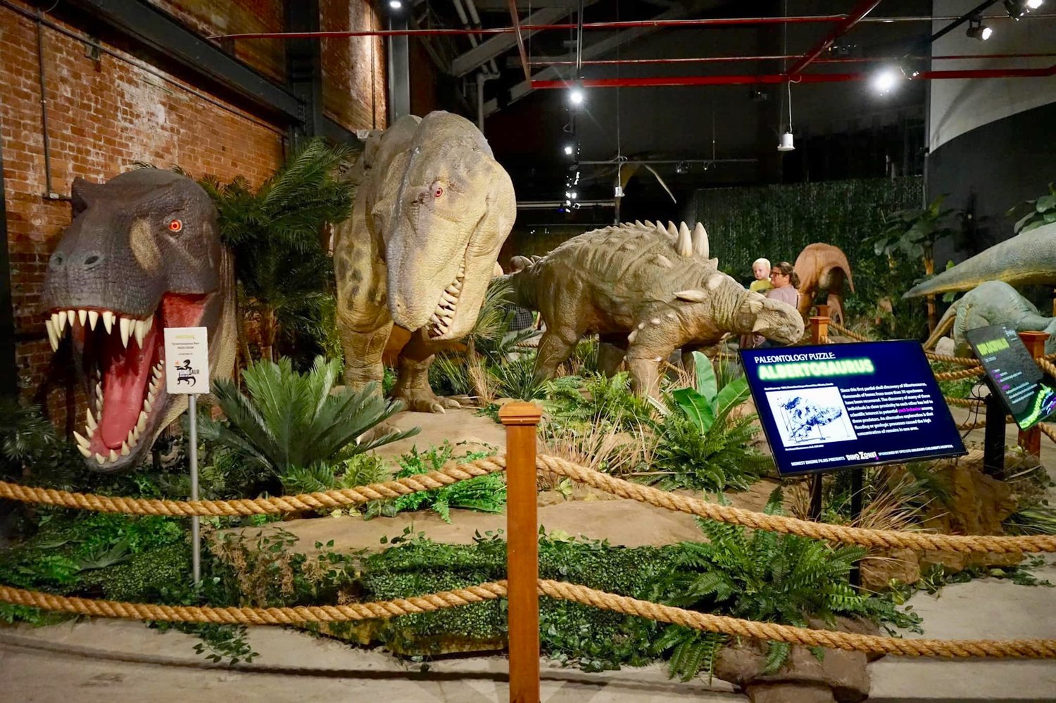The renovated Dino Zone exhibit is open at MOST.