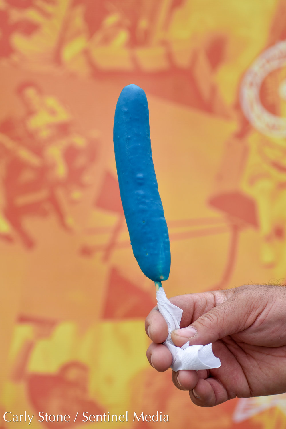 $8 frozen banana coated in blue-raspberry flavoring at the NYS Fair