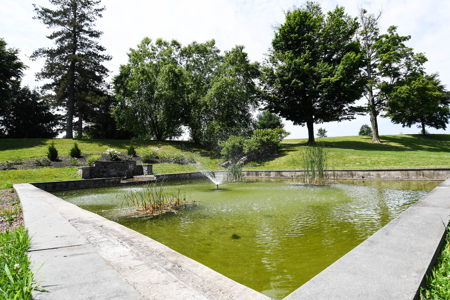 One of the signature features of Frederick T. Proctor Park, the Lily Pond, is shown in this photo from July.