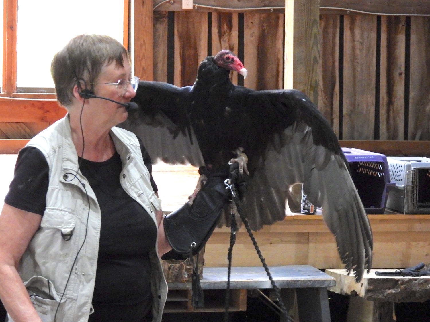 Cindy Page, of the Page Wildlife Center, gives a presentation of various birds of prey, including this turkey vulture, at the Great Swamp Conservancy in 2021.