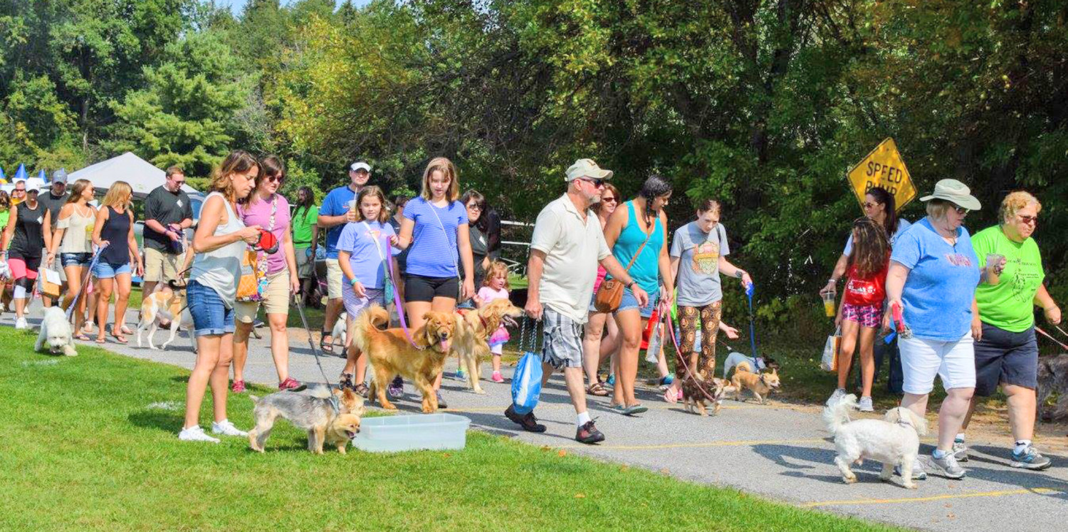 Wiggle Waggle Walk-A-Thon participants walk their dogs in a previous year’s fundraiser for Anita’s Stevens Swan Humane Society.