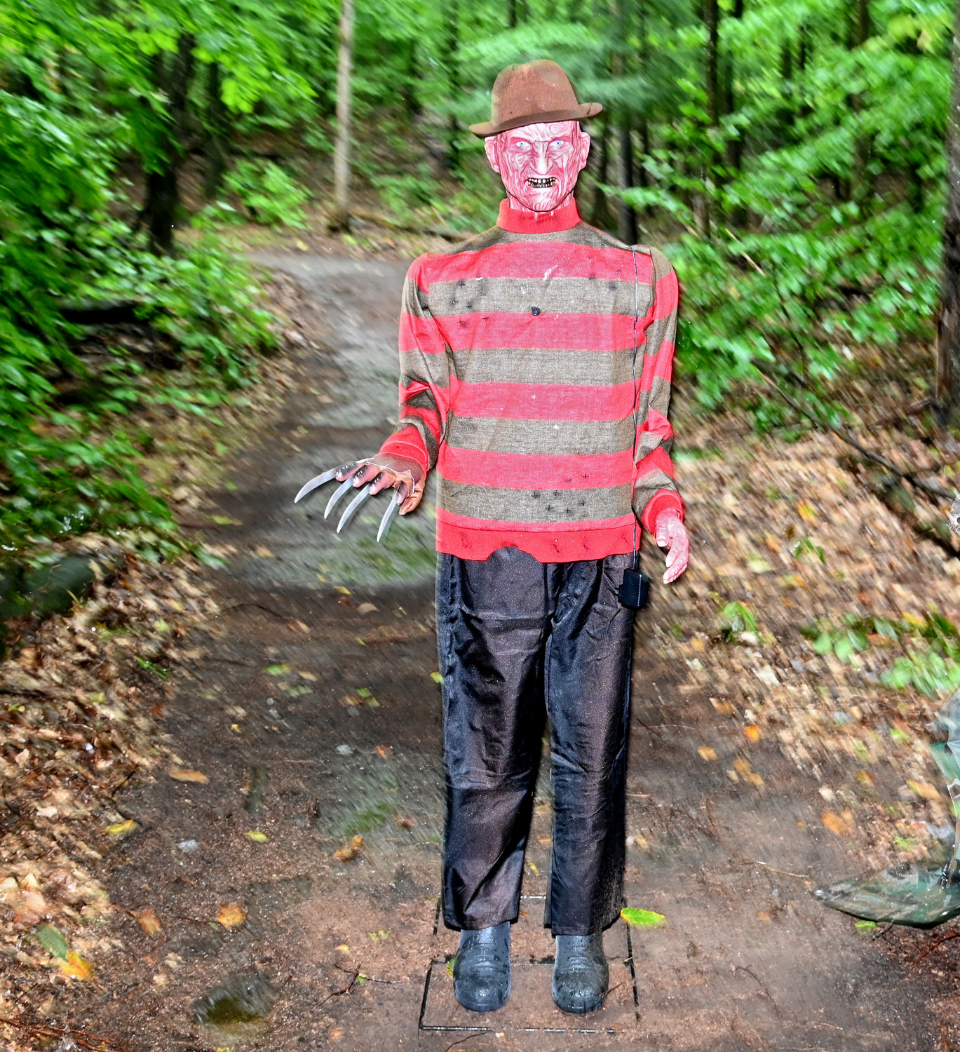 Freddy Krueger, of A Nightmare on Elm Street fame, is ready to scare travelers along the Haunting in the Woods trail at 3200 Forward Road, Blossvale.