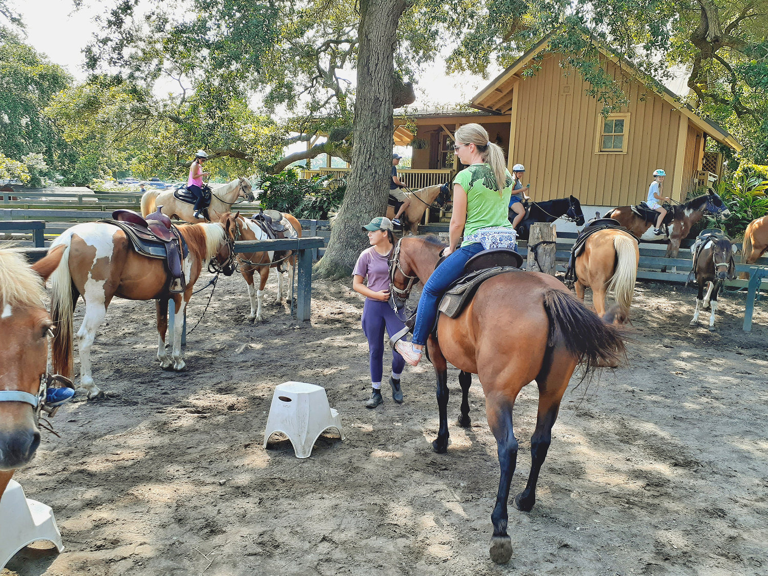 Horse riding stables provide stools for easy and safe mounting and dismounting.
