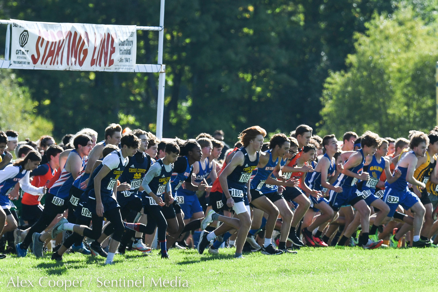 Varsity runners take off at the starting line during the 79th EJ Herrmann XC Invitational on Saturday, Sept. 24 at Proctor Park in Utica.