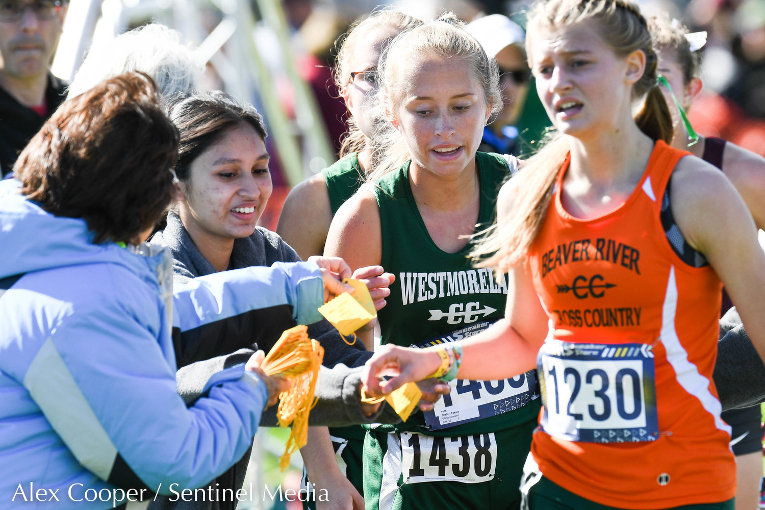 Runners compete in the 79th EJ Herrmann XC Invitational on Saturday, Sept. 24 at Proctor Park in Utica.