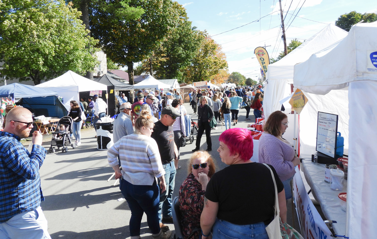The much-loved Remsen Barn Festival of the Arts made a comeback this year after a leave-of-absence due to COVID-19. The street was absolutely packed full of people browsing and buying handmade goods of all kinds and sampling foods, drinks, and treats just as varied.