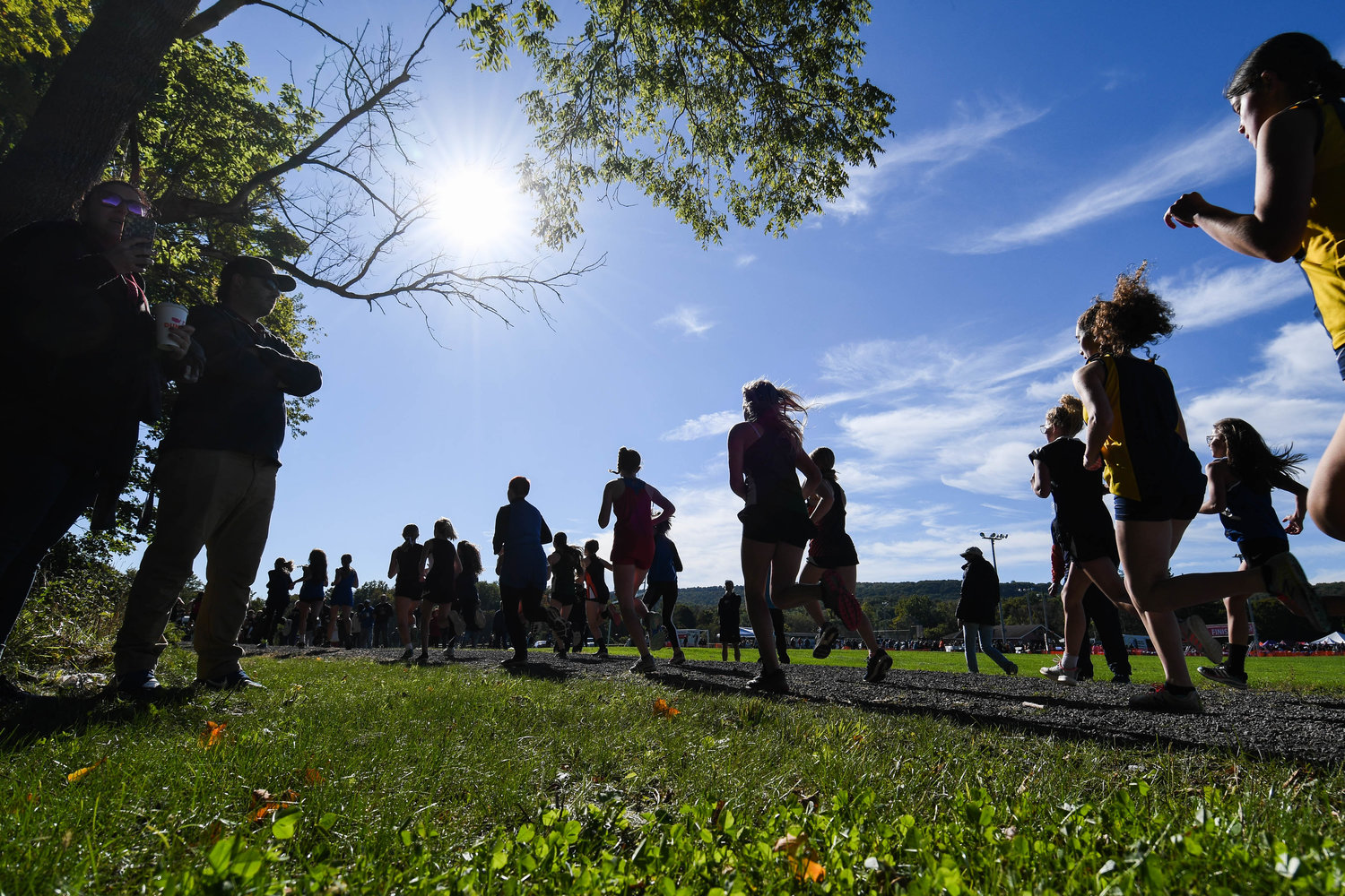 Runners make their way along the course during the 79th EJ Herrmann Invitational on Saturday at Proctor Park in Utica.