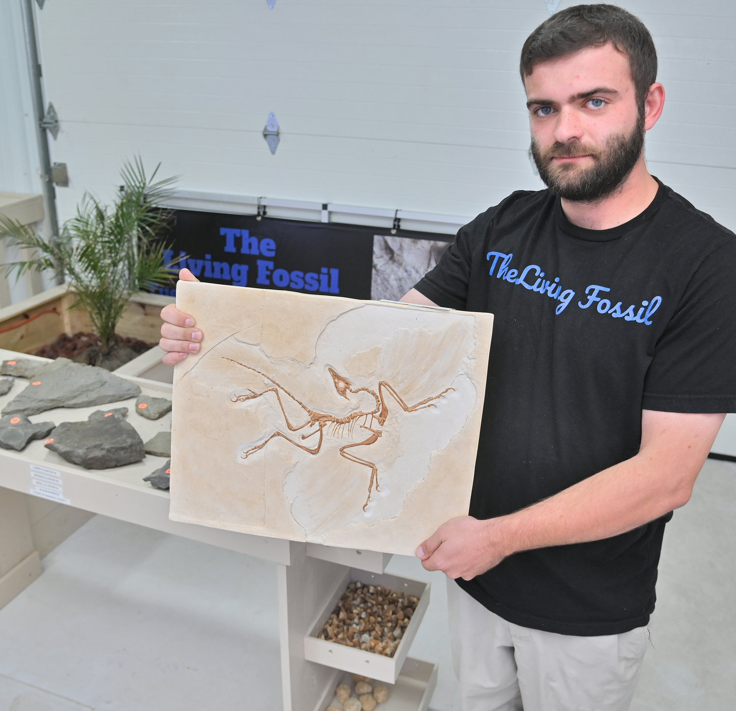 Paul Thornton holds a replica fossil in a rock presentation Tuesday at his shop, The Living Fossil, located 5475 Route 233, Rome.