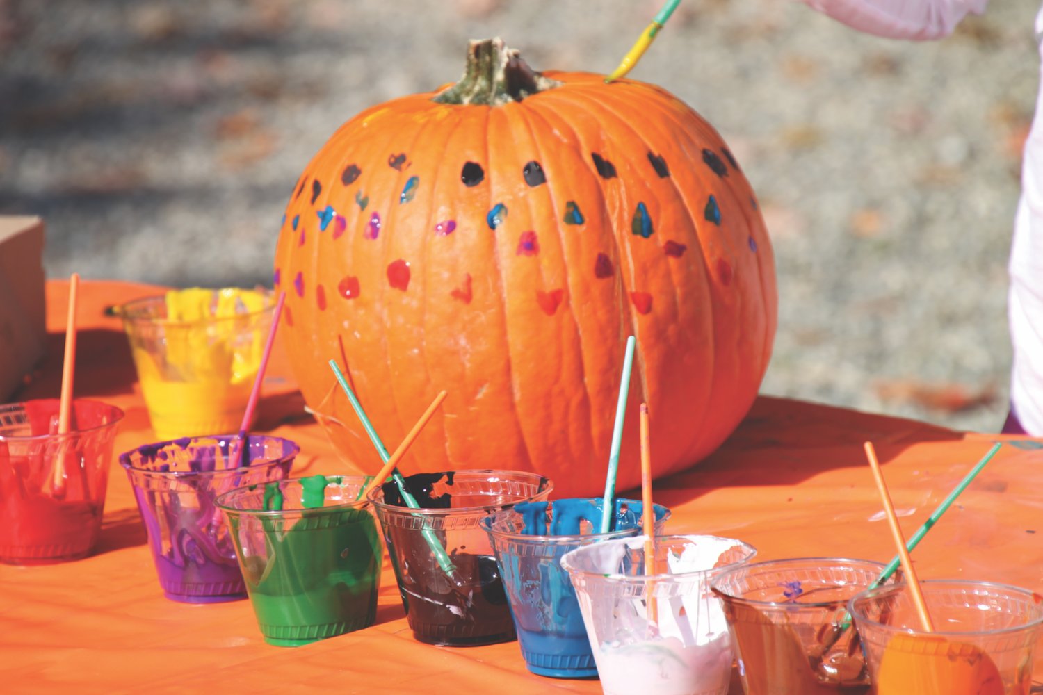 Jervis Public Library, 613 N. Washington St., will host a Pumpkin Painting workshop at 6 p.m. on Wednesday, Oct. 19.