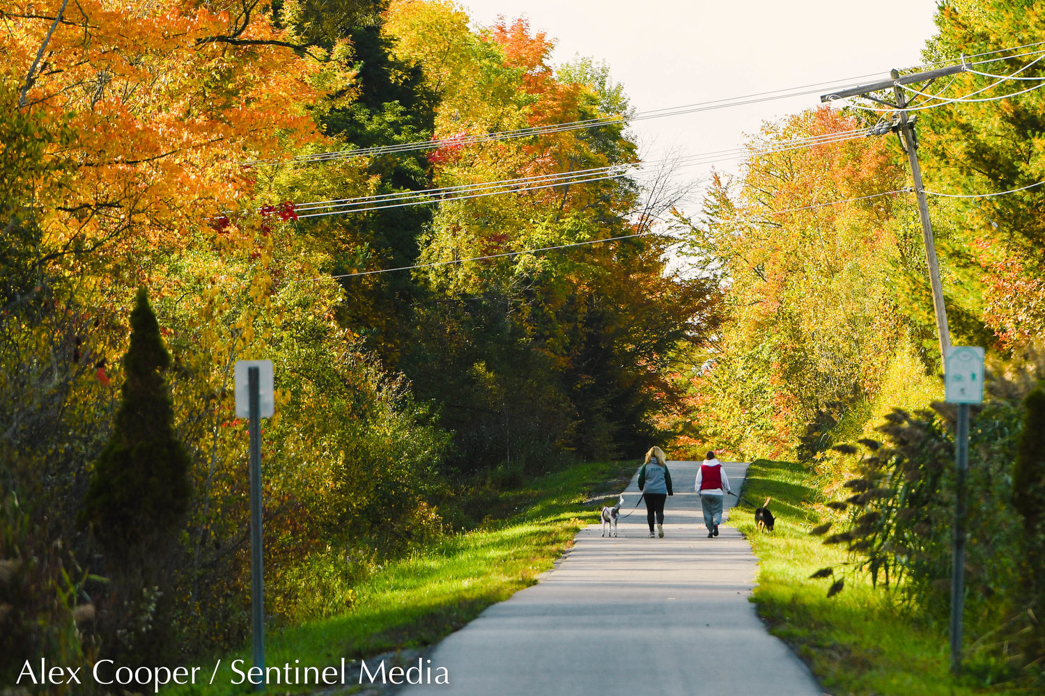 Sunlight hits autumn leaves as two women walk their dogs along Philip A. Rayhill Memorial Recreational Trail in New Hartford.