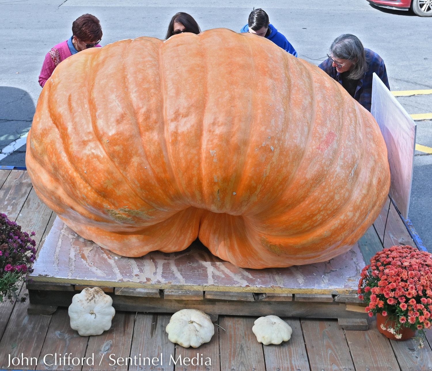 The great Pumpkin on display at the Clinton Farmers Market Thursday. The 1,925.5 pound pumpkin was grown by Todd Kogut.