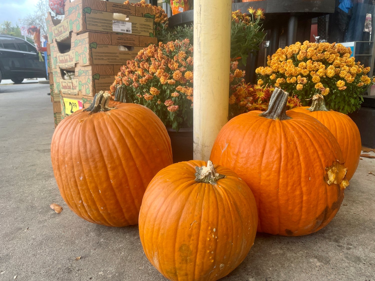 Pumpkins for sale are displayed on Monday, Oct. 31, 2022, at a grocery store in Cross Lanes, W.Va. (AP Photo/John Raby)