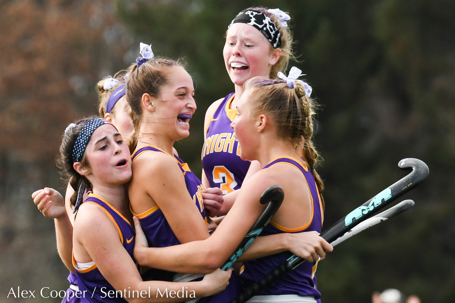 Holland Patent players celebrate after scoring a goal during the Class B field hockey state regional against Vestal on Saturday at Sidney High School.