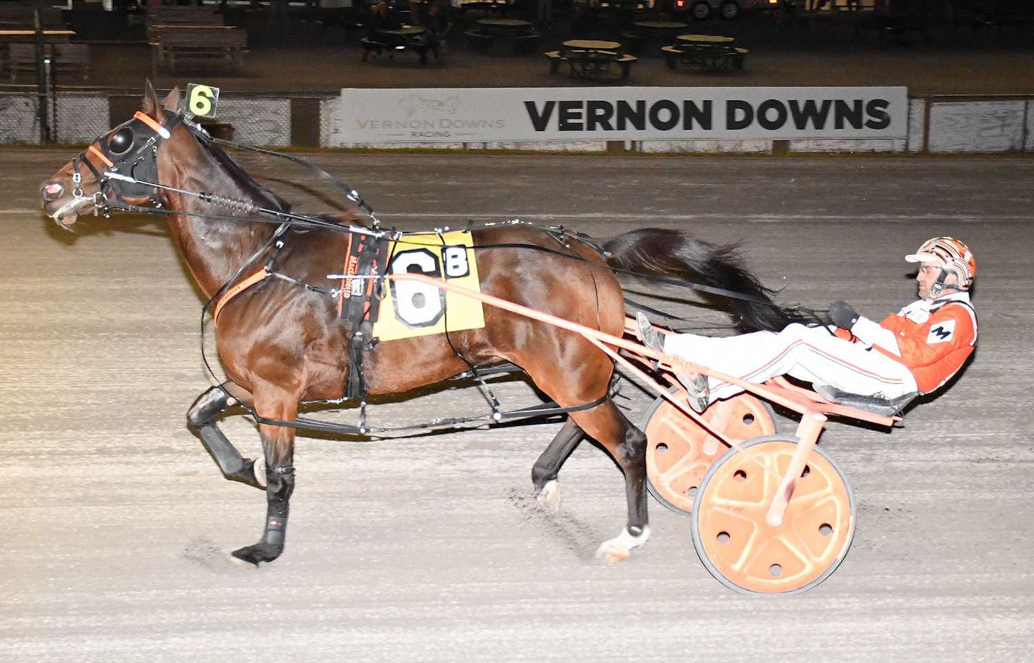 Sgt Papa Daddy and driver John MacDonald won the featured $8,700 trot at Vernon Downs on Saturday night in 1:52.3. It was the fifth win of the season for the 8-year-old gelding.