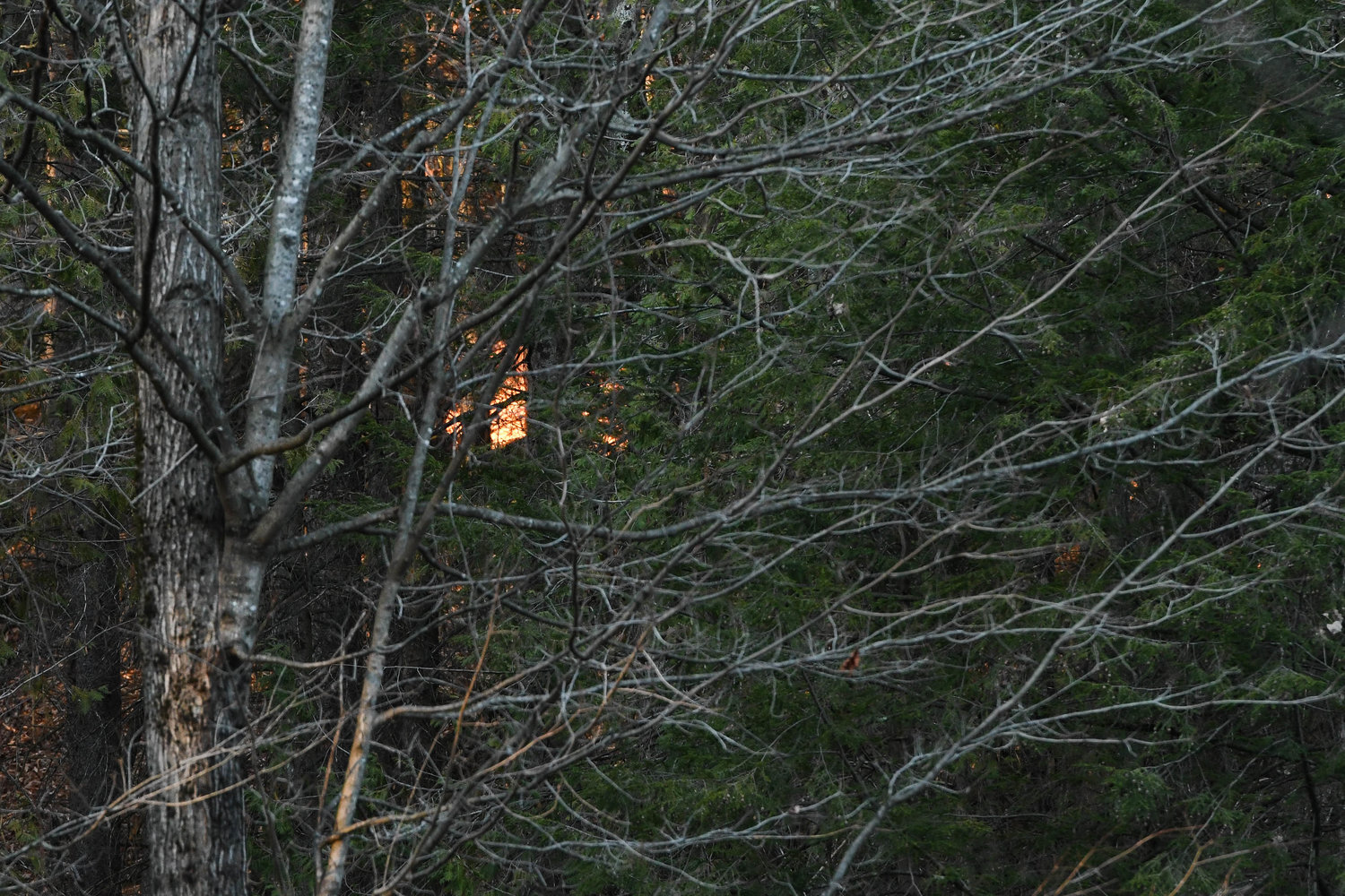 Several emergency crews from Herkimer and Oneida counties responded to a grass/tree fire that engulfed a large wooded area off Dover Road in the Village of Poland Thursday.