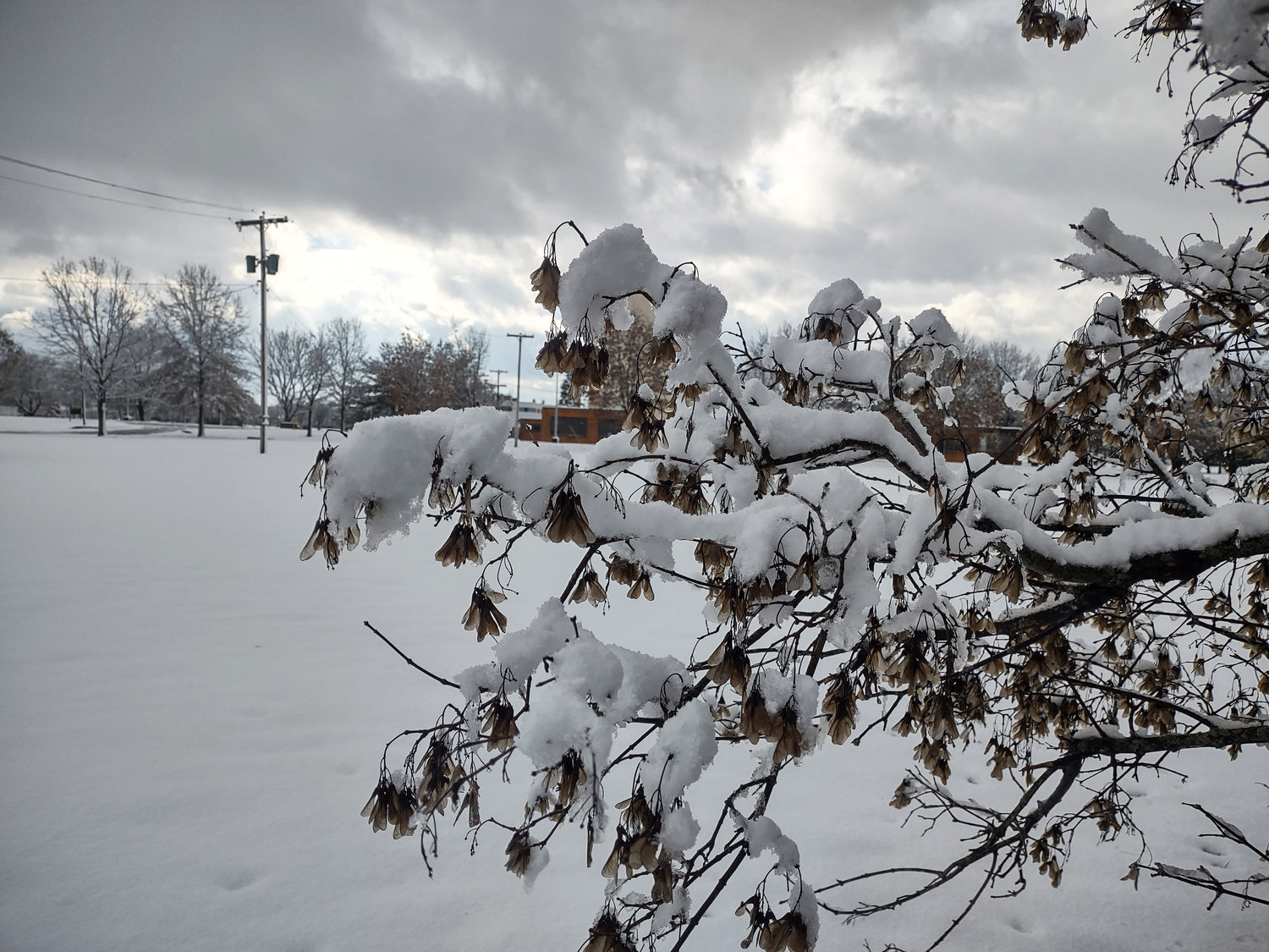 Snow covered branches Thursday morning in Rome as Oneida County residents woke up to the first measurable snow of the season. Late Thursday morning, the National Weather Service announced that more snow is on the way.