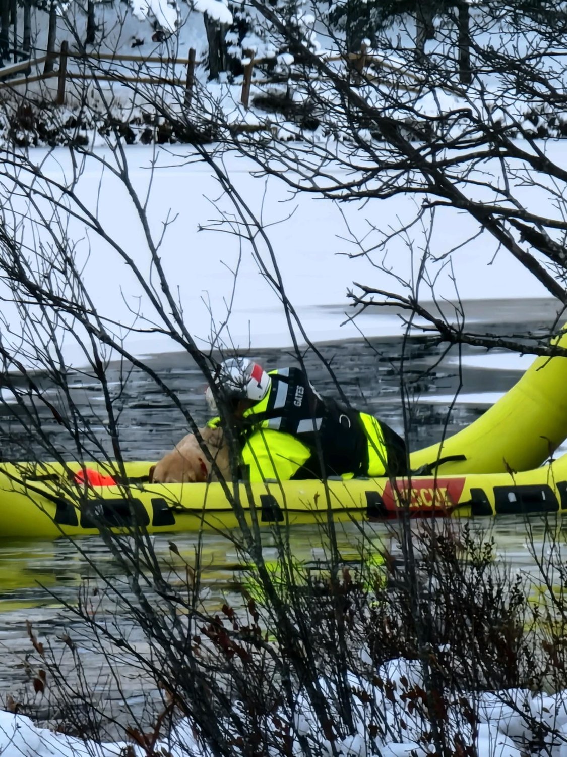 A yellow Labrador Retriever rescued out of icy Snowbird Lake on Saturday rests in the safety of the Trenton ice water rescue team's inflatable raft. Fire department officials said the dog got a clean bill of health from a local veterinarian following the rescue.