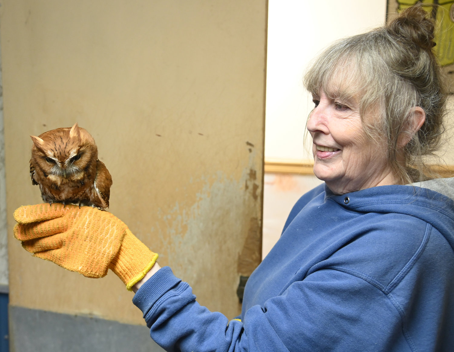 Wildlife center helps nurture sick, wounded animals back to health | Daily  Sentinel
