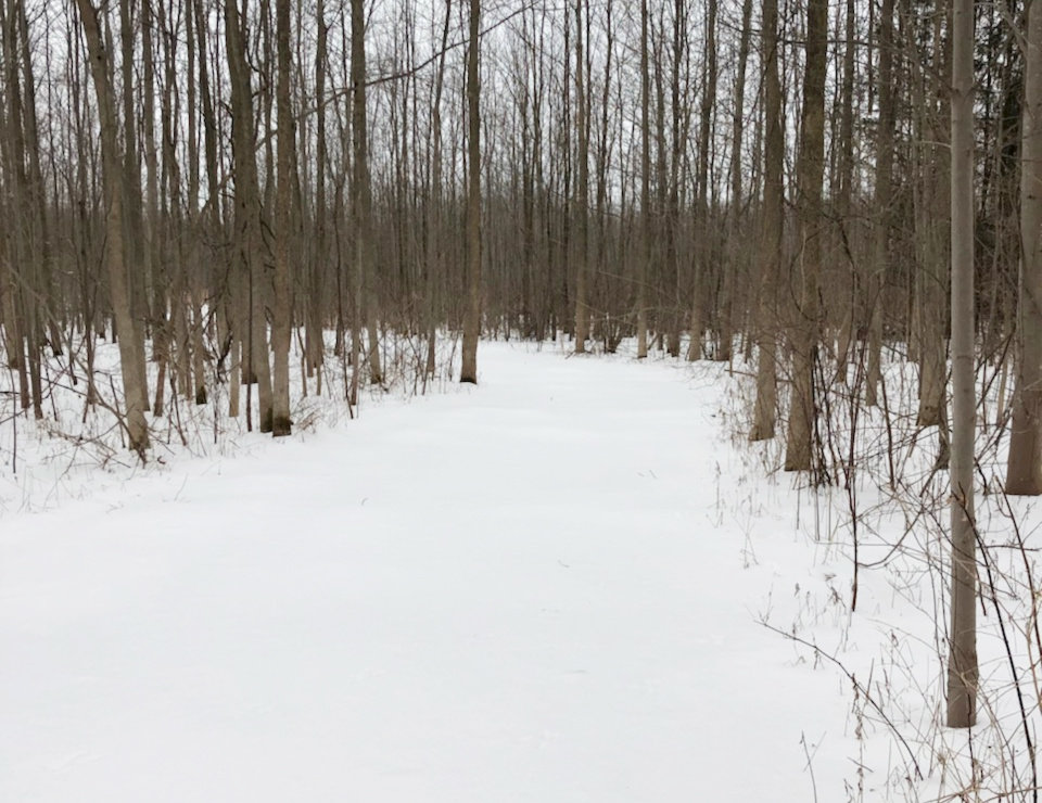 The Great Swamp Conservancy’s First Day Hike will take place Sunday, Jan. 1 at 10 a.m. to ring in the New Year.