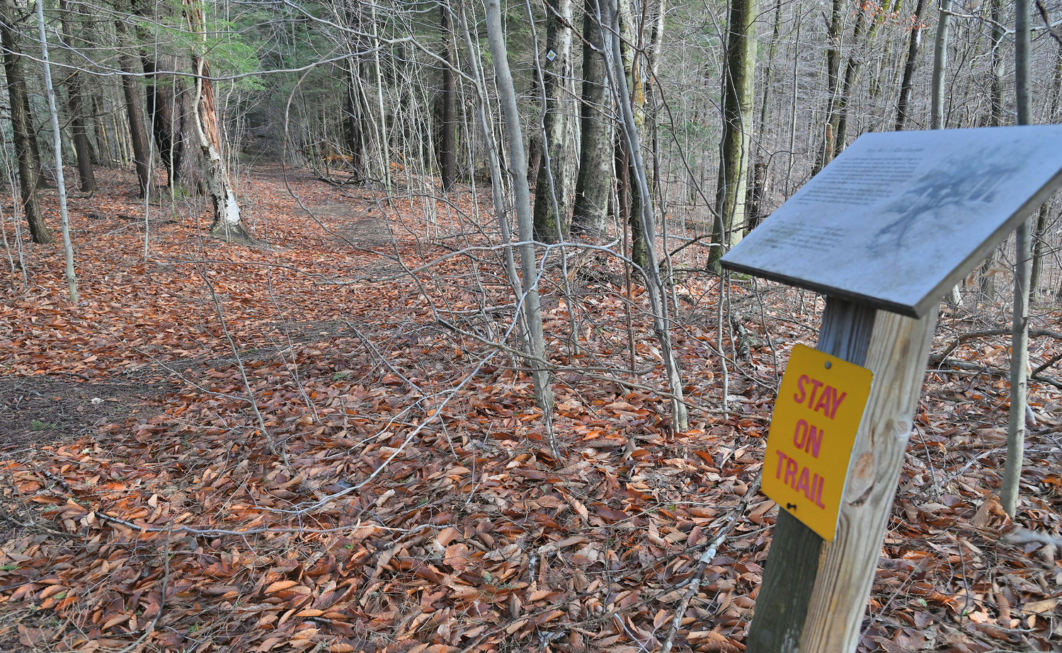 A sign along the Trenton Greenbelt Trail helps point walkers and hikers in the right direction as well as provide information about the greenbelt on Thursday, Jan. 5.