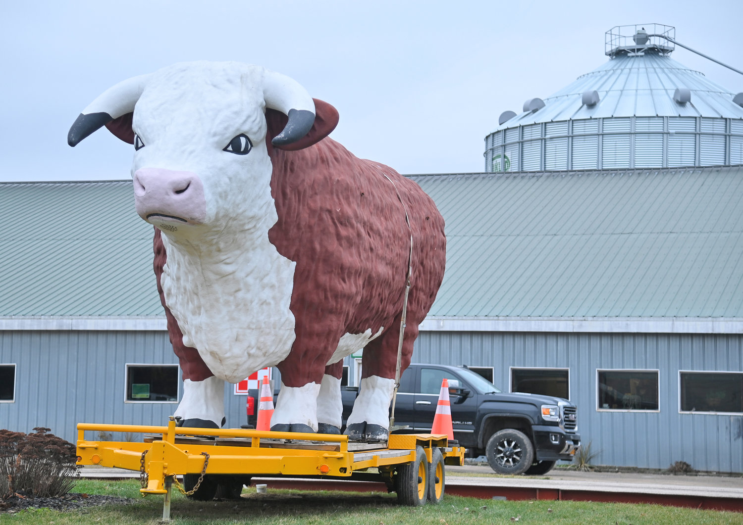The former Joel’s Steakhouse bull, “Lucky,” stands in front of Richardson Farms on Skinner Road in Vernon Center on Monday, Jan. 9. Seven years ago, on Sunday, Jan. 10, 2016, Lucky survived a fire that destroyed the Stampede Steakhouse and Saloon, which followed Joel’s Steakhouse at the site at the corner of Route 365 and Route 31 in Verona.  Today, Lucky is mostly a homebody, on his flatbed perch on the farm, though Lucky has made a few appearances, fitting his iconic status over the past few years, most notably at the Boonville-Oneida County Fair in 2019.