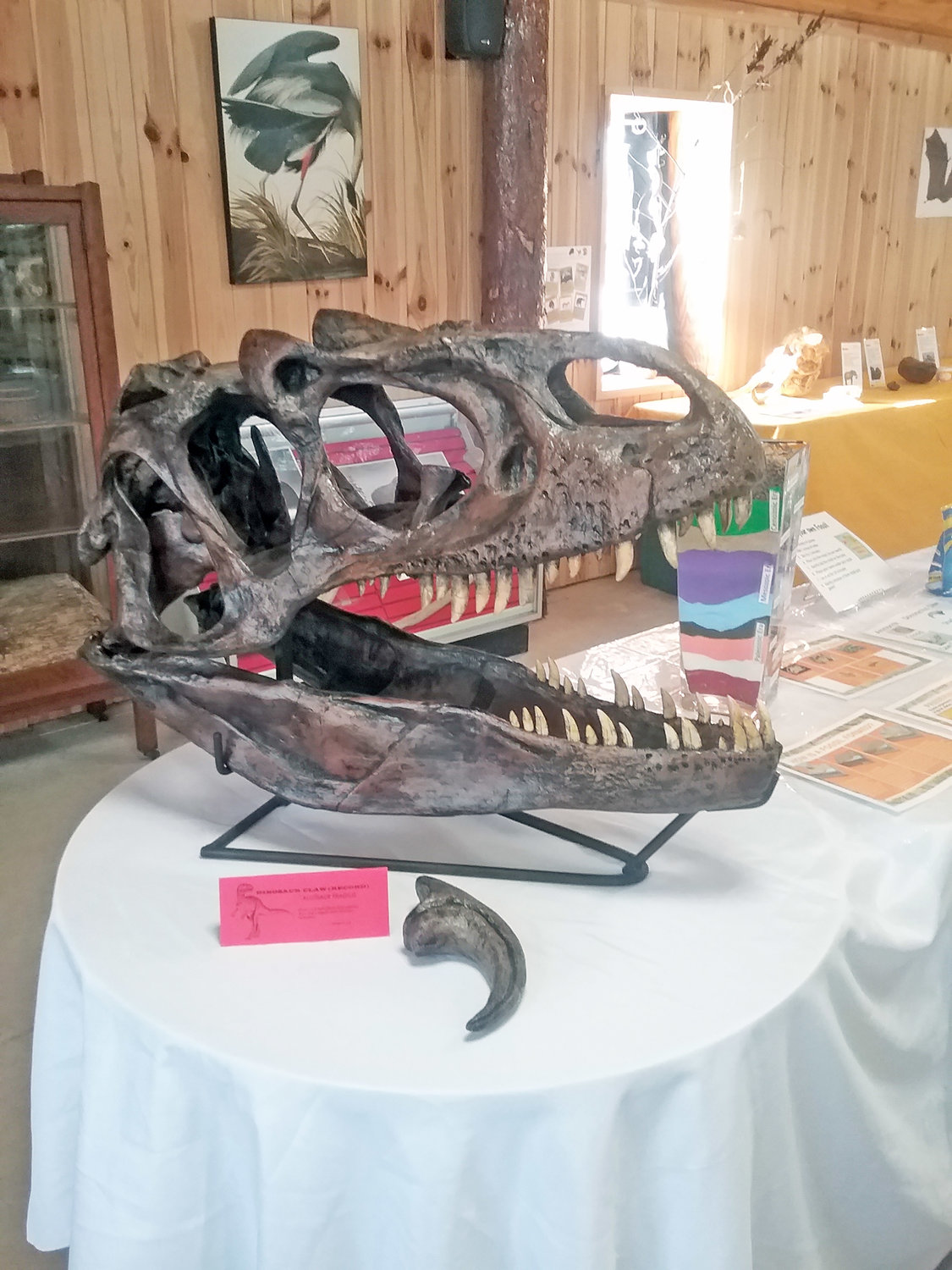 The Great Swamp Conservancy’s fossil exhibit is on display through March 10.
