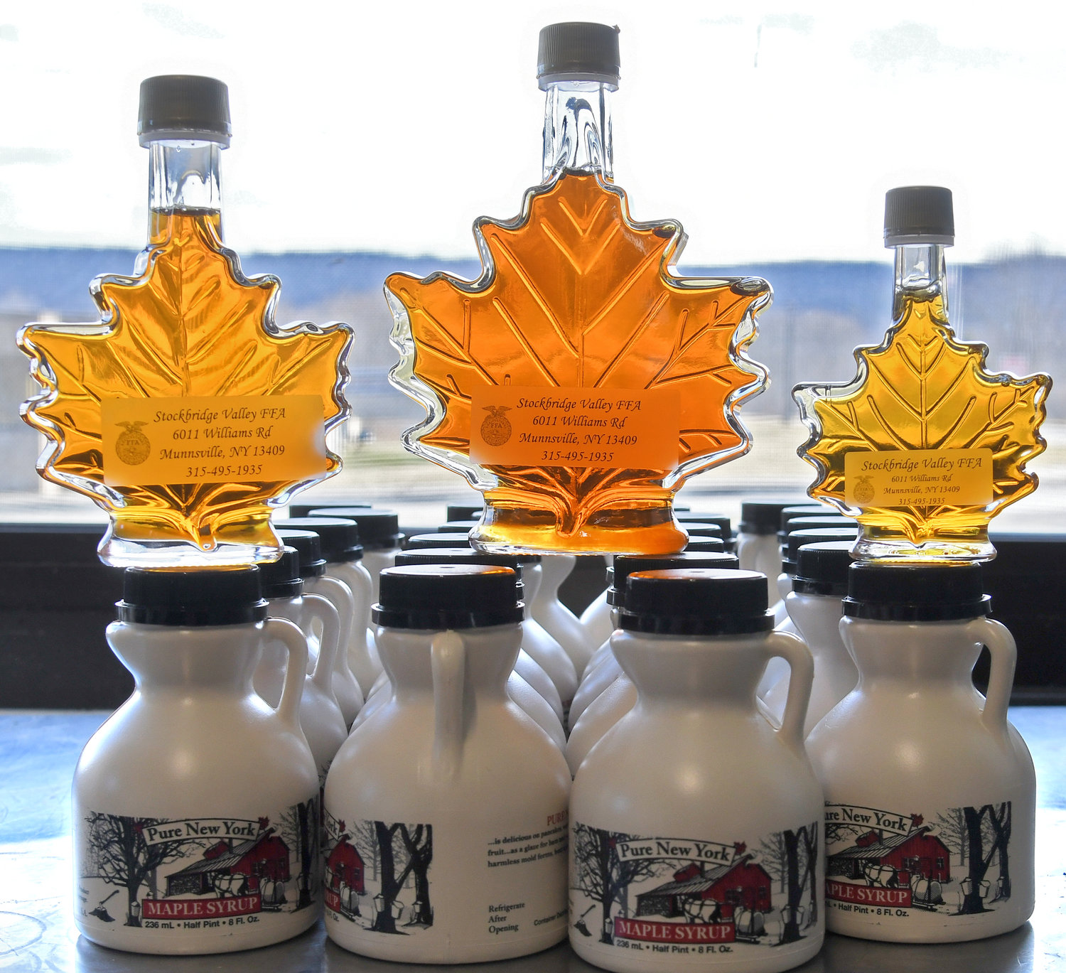Maple syrup bottles produced by the Stockbridge Valley FFA are displayed Wednesday, Feb. 16 at their sap house in Munnsville.