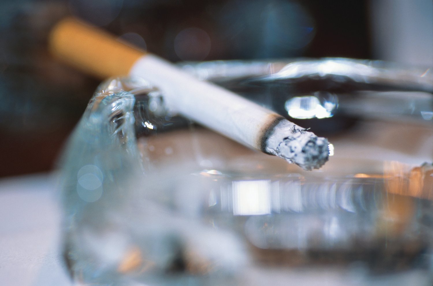 Smoking rates remain high among certain demographic groups; more work is needed to save New Yorkers’ lives and improve their health NYS TCP’s policy-driven, cost-effective and evidence-based approaches contributed to a substantial decline in tobacco use.