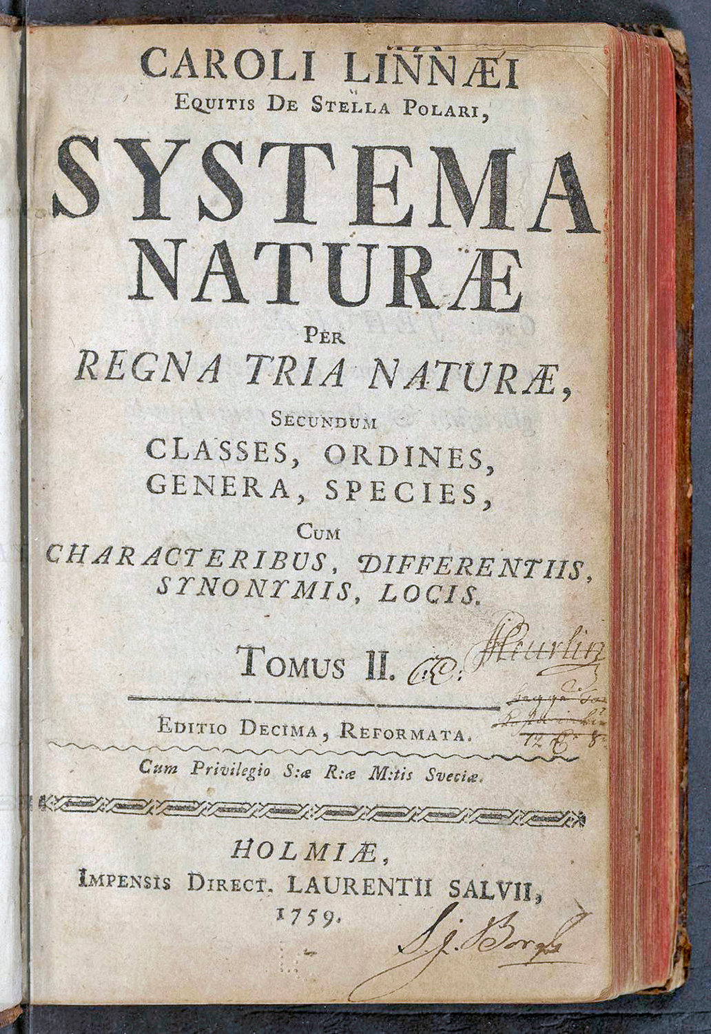 This image provided by the Library of Congress shows the title page of “Systema Naturae,” the groundbreaking 1735 book by Carolus Linnaeus, also known as Caroli Linnaei, that introduced botanical nomenclature and classified all living things.