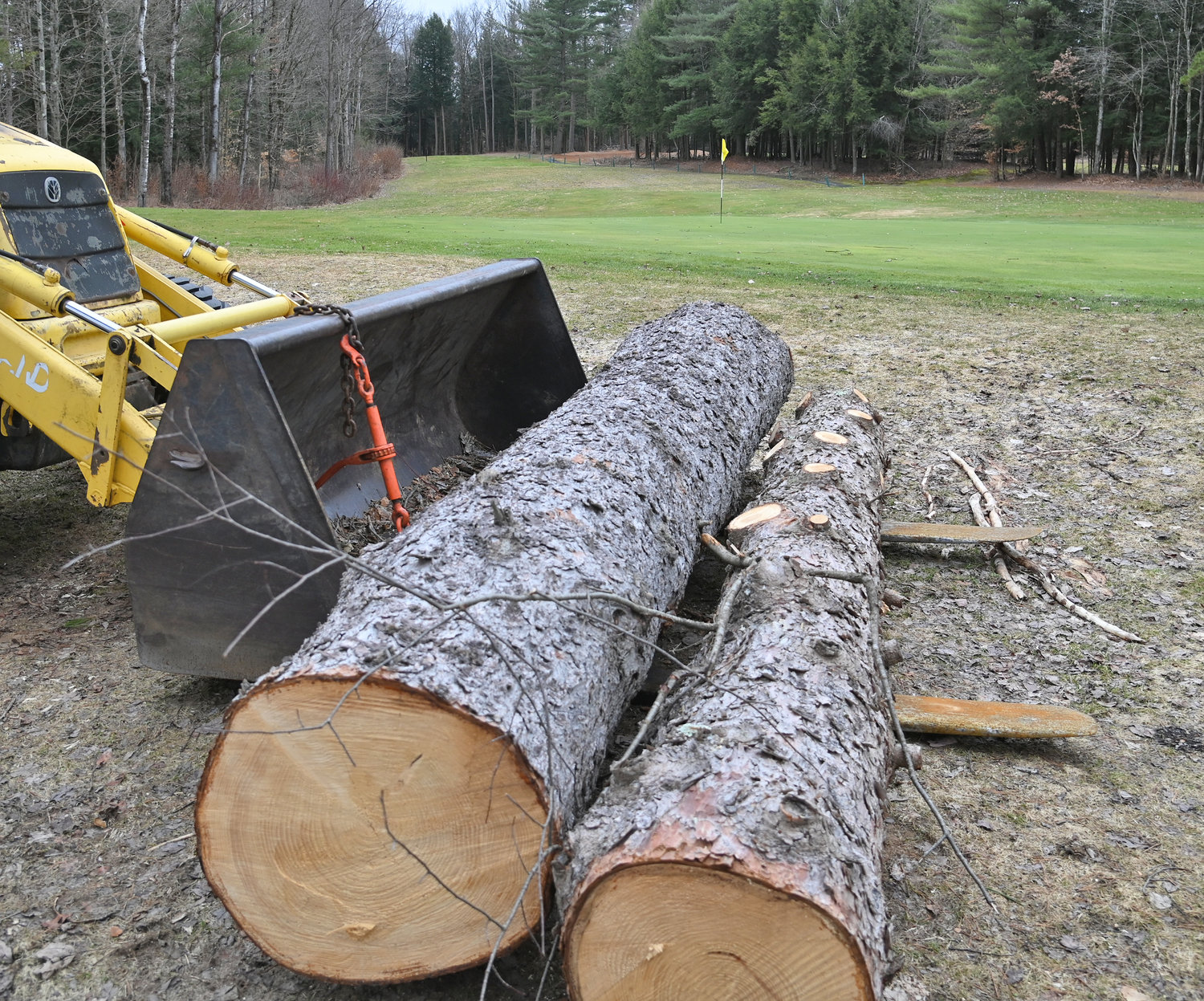 Rome Country Club trees cut down to clean up areas around greens. This is behind the 16th Par 3 green.