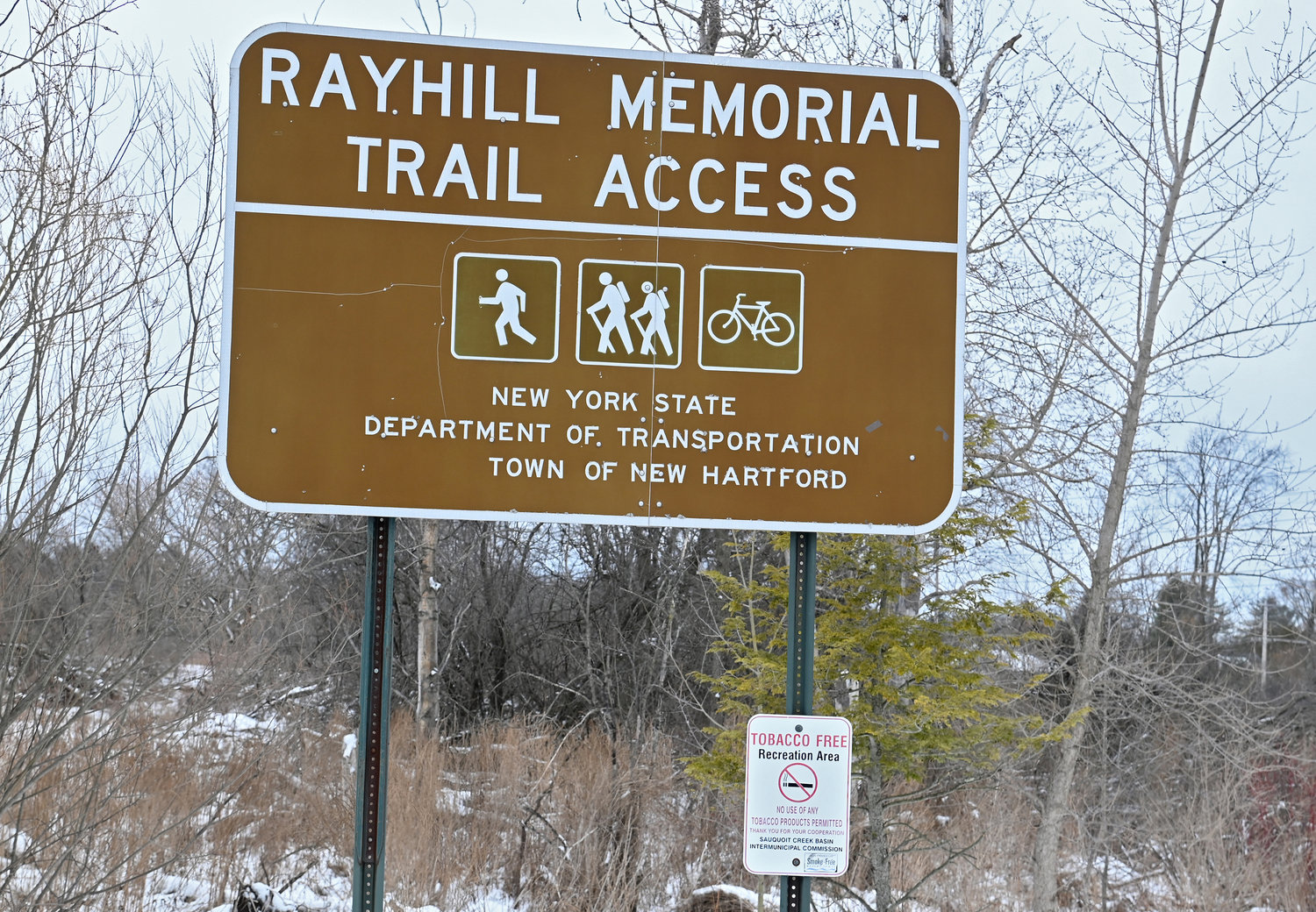 Several beaver carcasses found skinned off the Rayhill Memorial Trail in New Hartford in mid-February are under investigation by the New York State Department of Environmental Conservation.