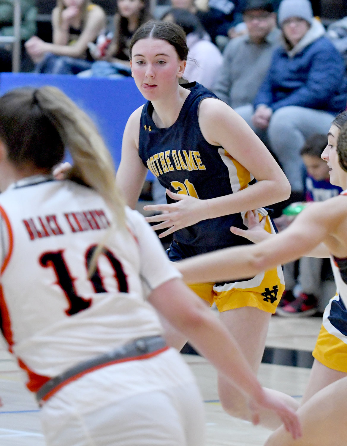 Notre Dame’s Ella Trinkaus was named the Tri-Valley League Pioneer Division player of the year.