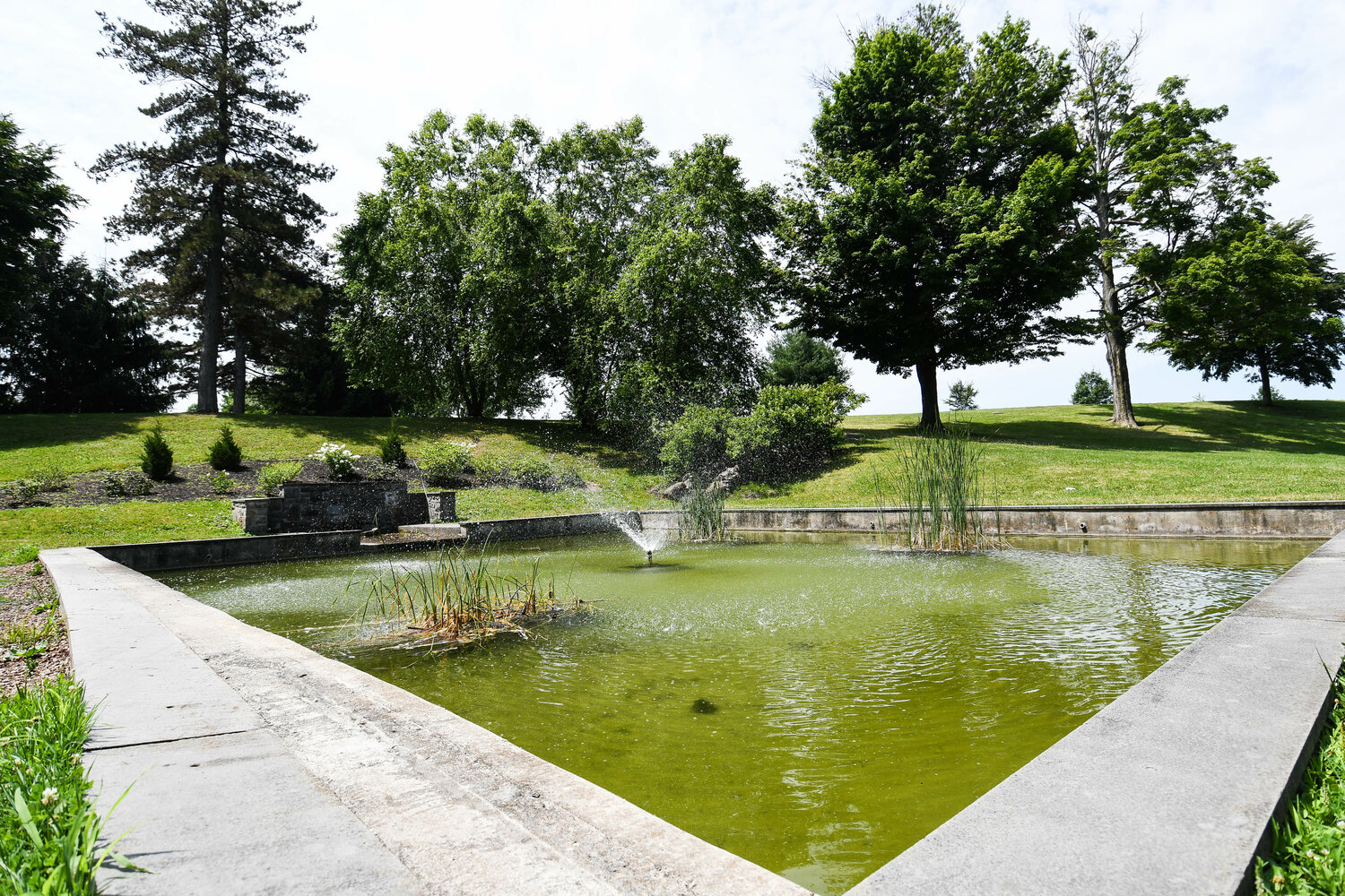 One of the signature features of Frederick T. Proctor Park, the Lily Pond, is shown in this photo from July 2022.