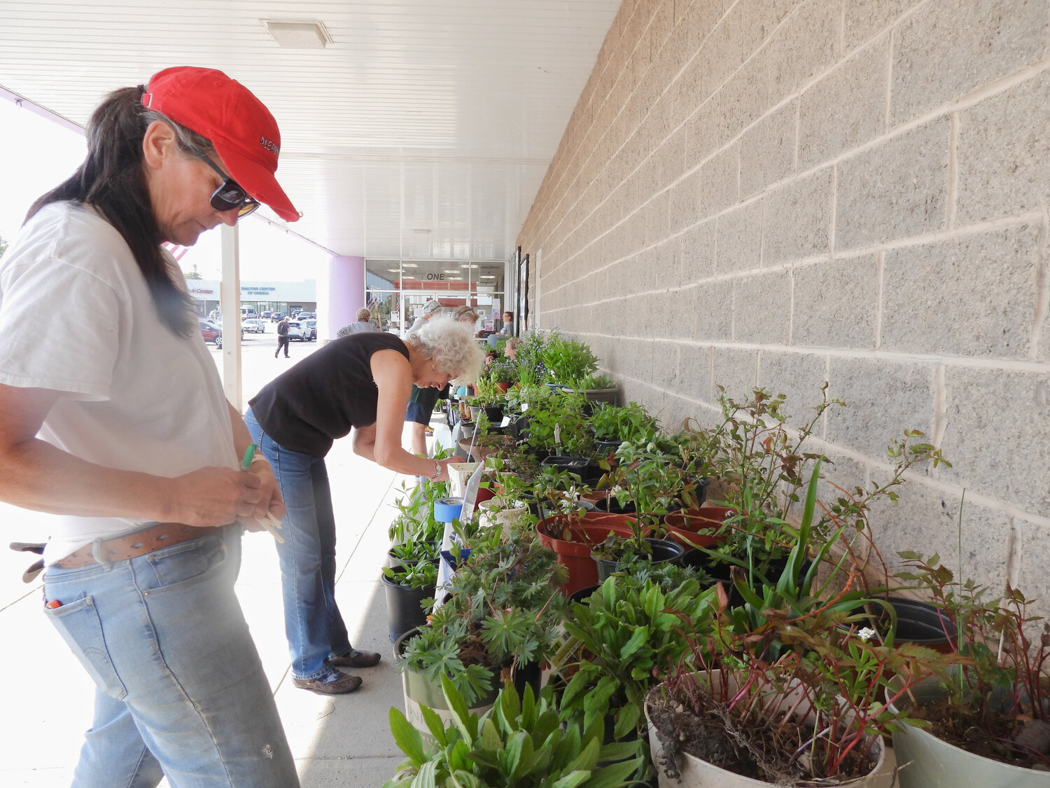 Green Thumb Garden Club of Oneida Castle members mark plants before they go for sale.