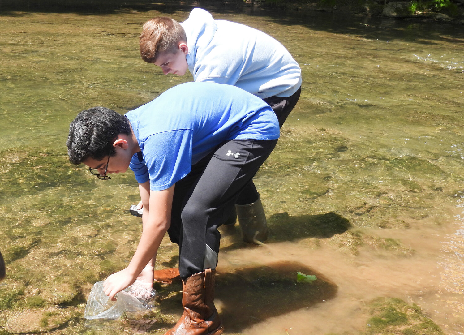 Students with Holy Cross Academy release the trout they’ve raised as part of the Trout in the Classroom program into Sconondoa Creek on Thursday.