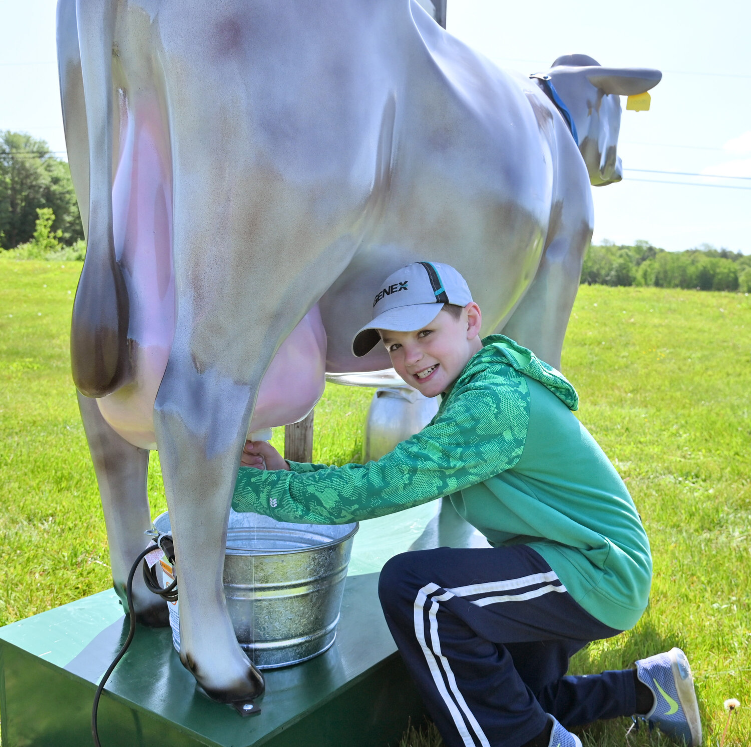 Blaise Larry, 11, son of Priscilla and Doug Larry, “milks” the interactive cow that will be making the rounds this spring and summer in Oneida County, including an appearance at Farm Fest, 4:30 to 8 p.m. on Friday, June 2, at DiNitto Farms, 6585 Benton Road.