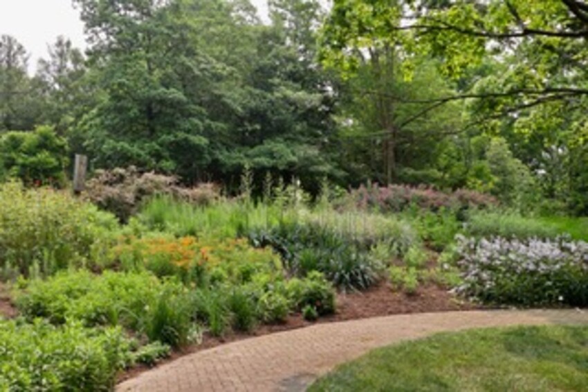 Tawes Garden Native Plant Festival | Pasadena