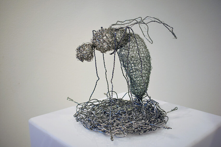 Corah Klein of Broadneck High School used crocheted wire to construct “Bzzzzz,” a visual representation of the sound a flying insect makes.