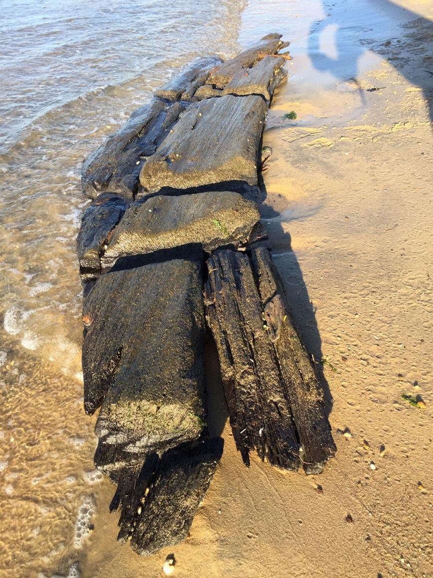 Cape St. Claire Resident Uncovers Buried Ship Remnants | Severna Park